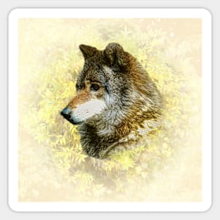 Wolf portrait Sticker